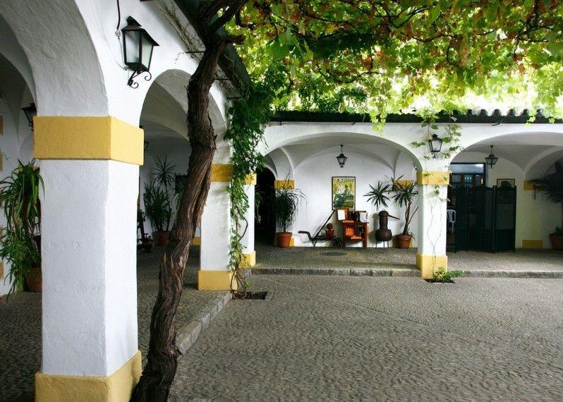 Un tranquillo patio a Jerez de la Frontera, Andalusia, Spagna.©Yadid Levy/Lonely Planet